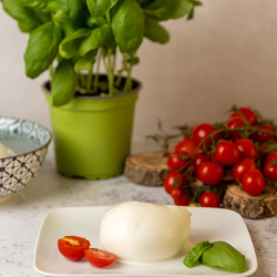 Mozzarella di bufala